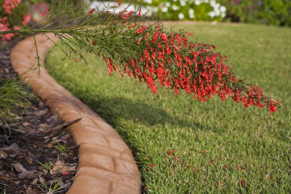 Brick Edging in Ankeny