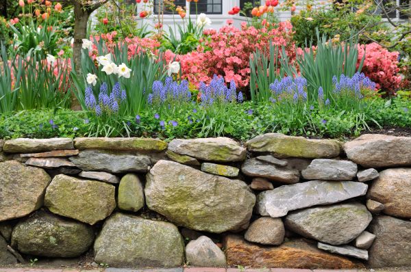 Stone Wall Hardscaping in Ankeny